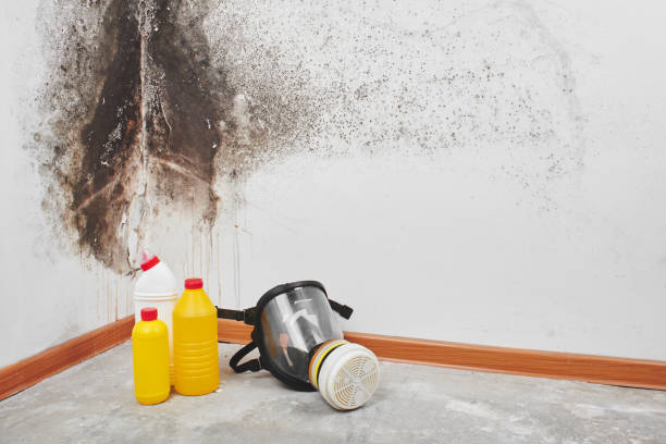 Best Crawl Space Mold Removal  in Lincoln, MO