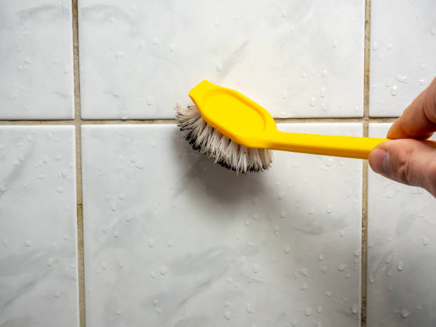 Best Mold Cleaning Services  in Lincoln, MO