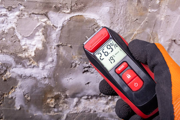 Best Mold Removal Company Near Me  in Lincoln, MO